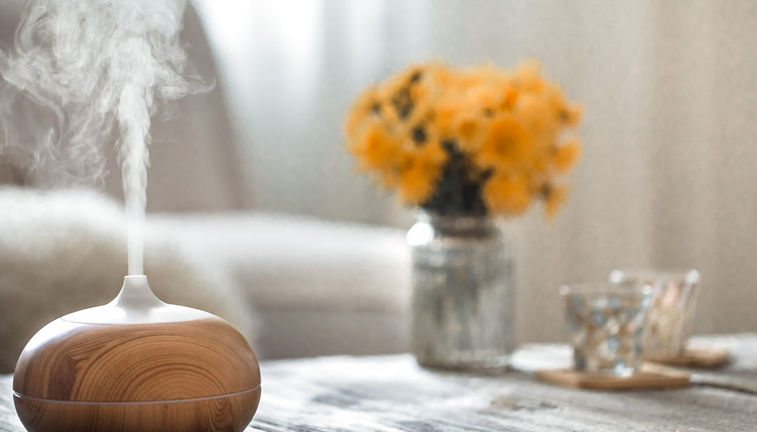 đ  How to Make Your House Smell Good All the Time (and Get Rid of Bad Odors for Good)