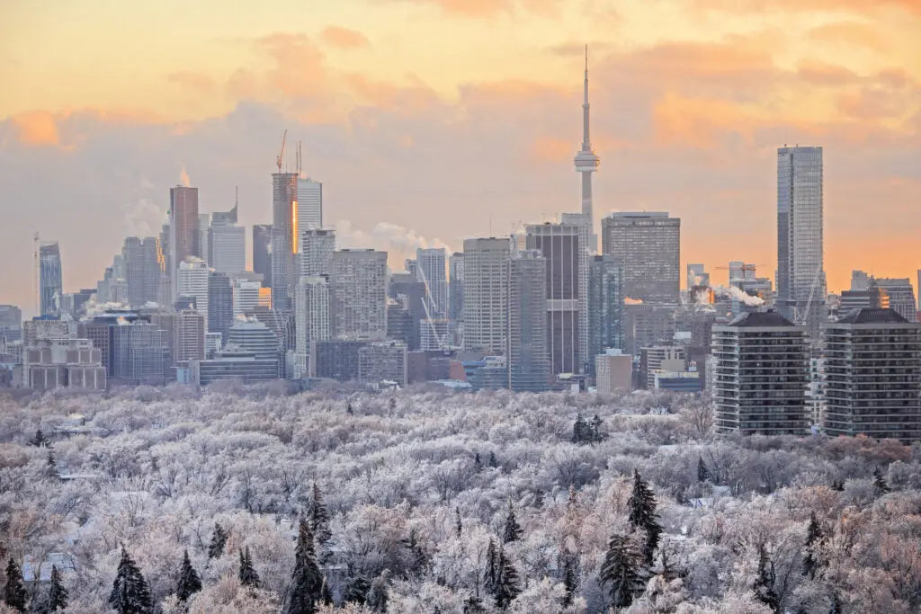 Deep Cleaning in Toronto: Transform Your Space with SeeyonClean SeeyonClean
