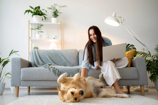 How to Get Rid of Pet Hair in Your Home Fast