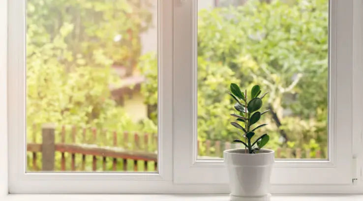 🪟 How to Clean Window Sills: A Step-by-Step Guide for a Spotless Shine SeeyonClean