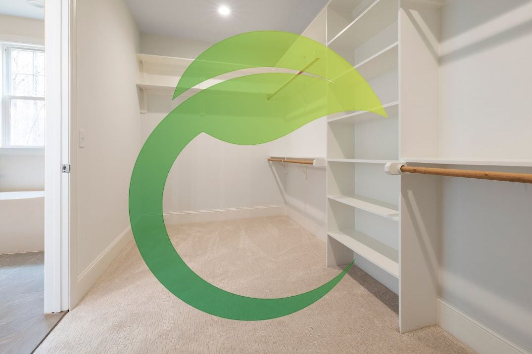 cleaned carpet picture