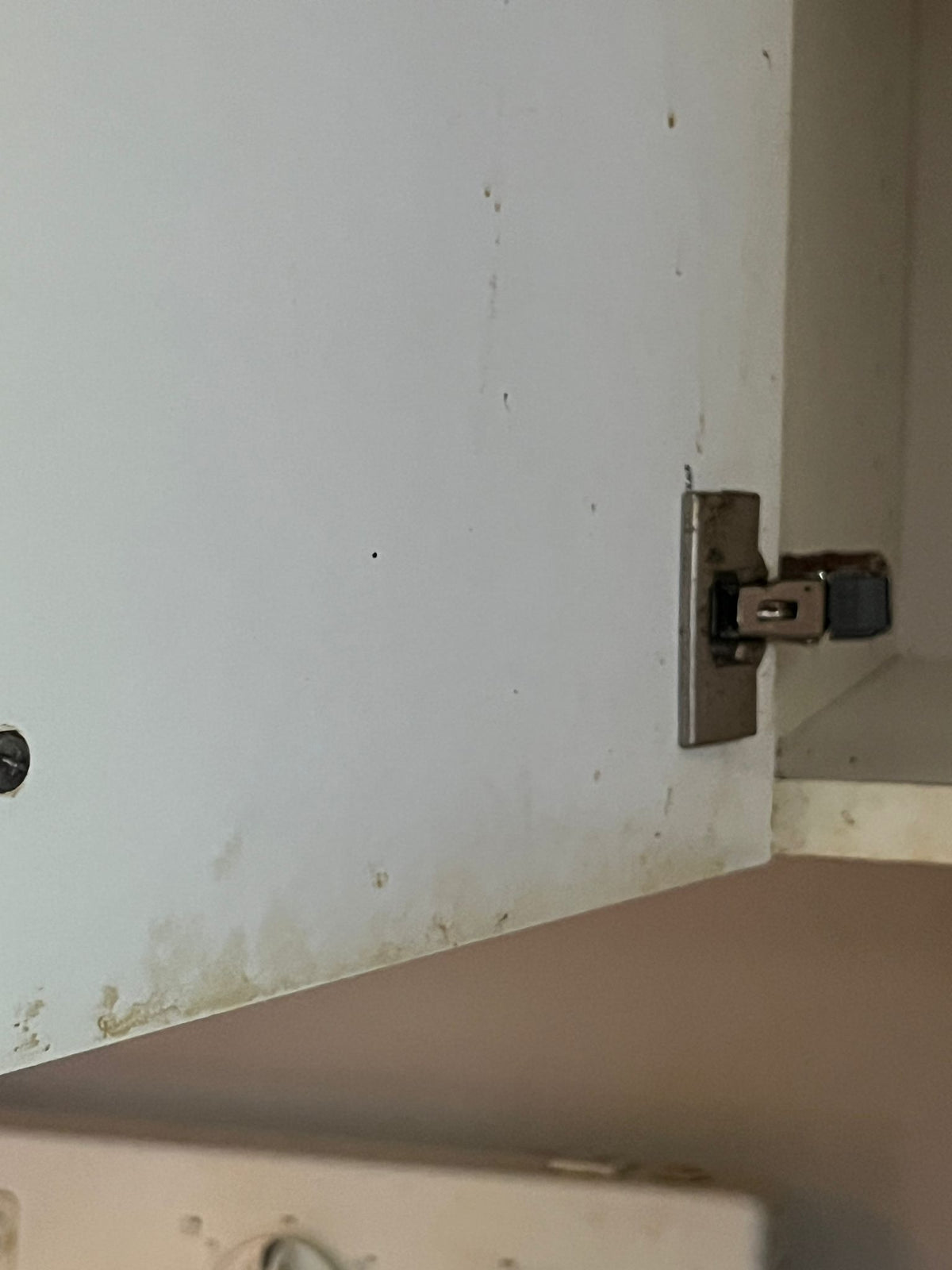 Cabinet hinge on a white cabinet with visible wear and dirt.