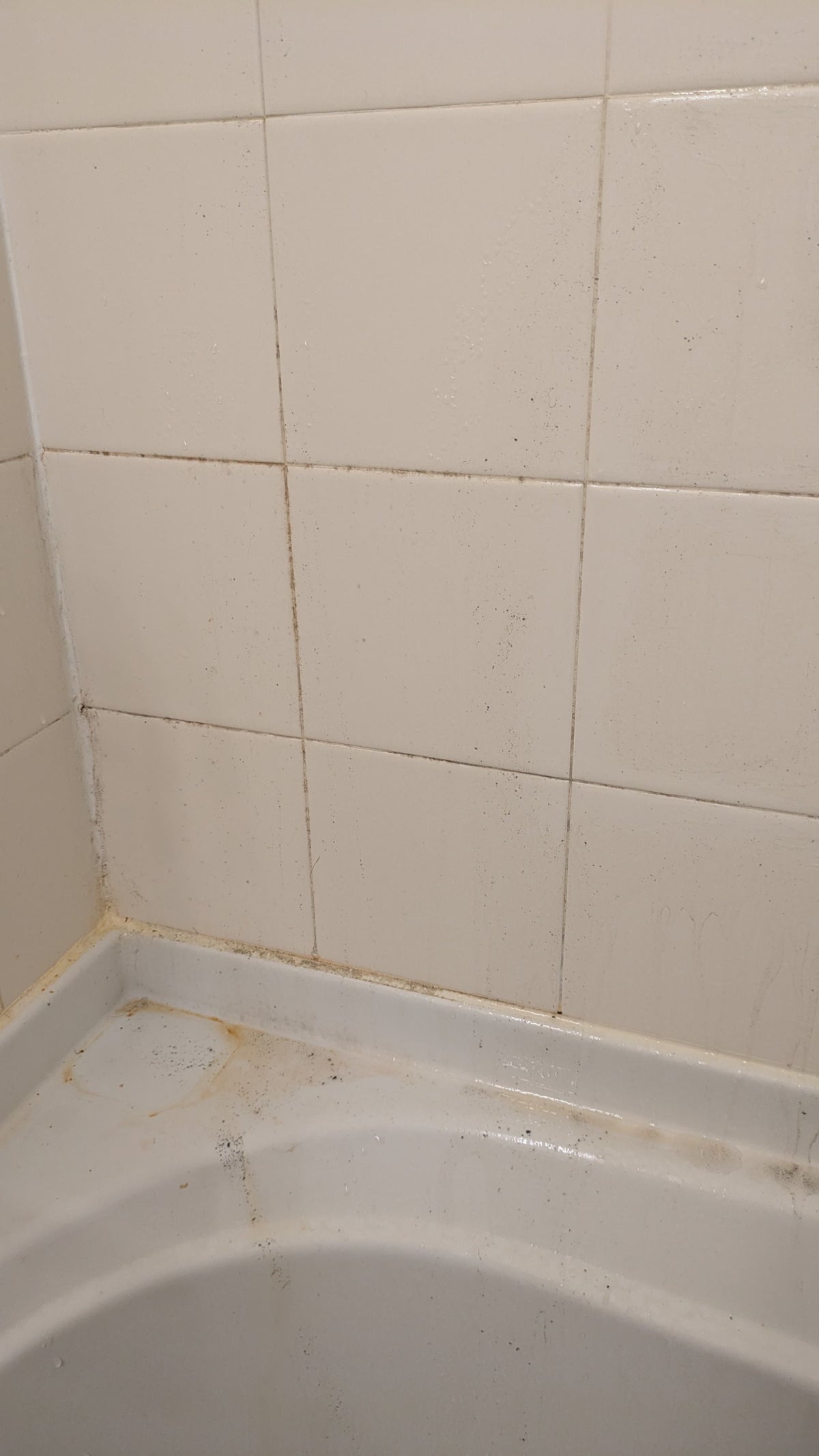Corner of a tiled bathroom wall with a visible grout line and some discoloration.
